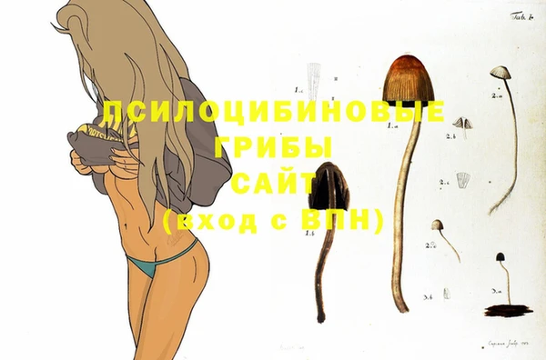 ГАЛЛЮЦИНОГЕННЫЕ ГРИБЫ Аркадак