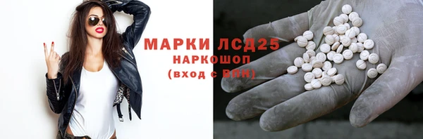 ГАЛЛЮЦИНОГЕННЫЕ ГРИБЫ Аркадак