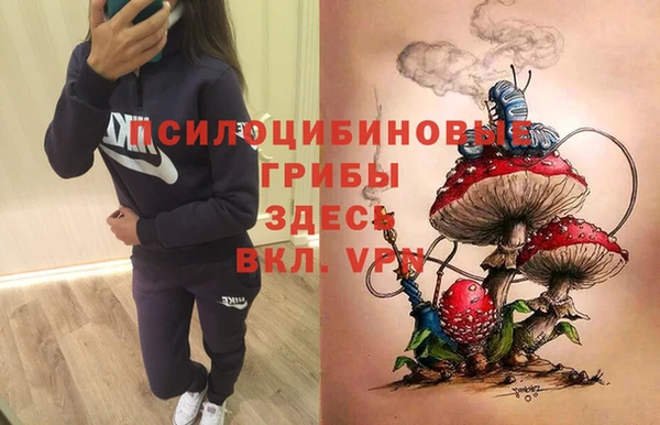 ГАЛЛЮЦИНОГЕННЫЕ ГРИБЫ Аркадак